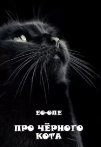 Про чёрного кота